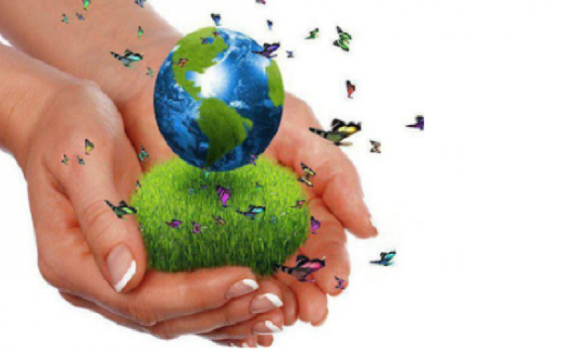 Hoy se celebra el Día Mundial del Medioambiente