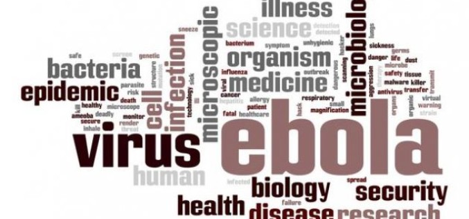 Ébola: especialistas de Academia Chilena de Medicina explican alarma mundial