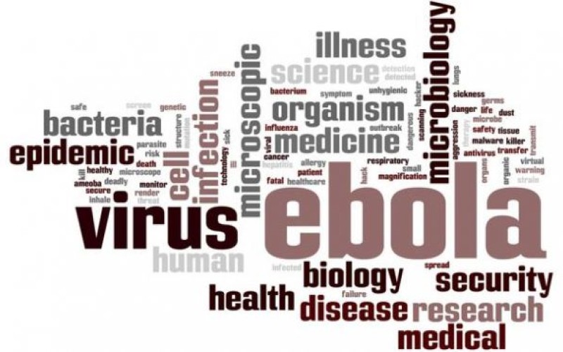Ébola: especialistas de Academia Chilena de Medicina explican alarma mundial