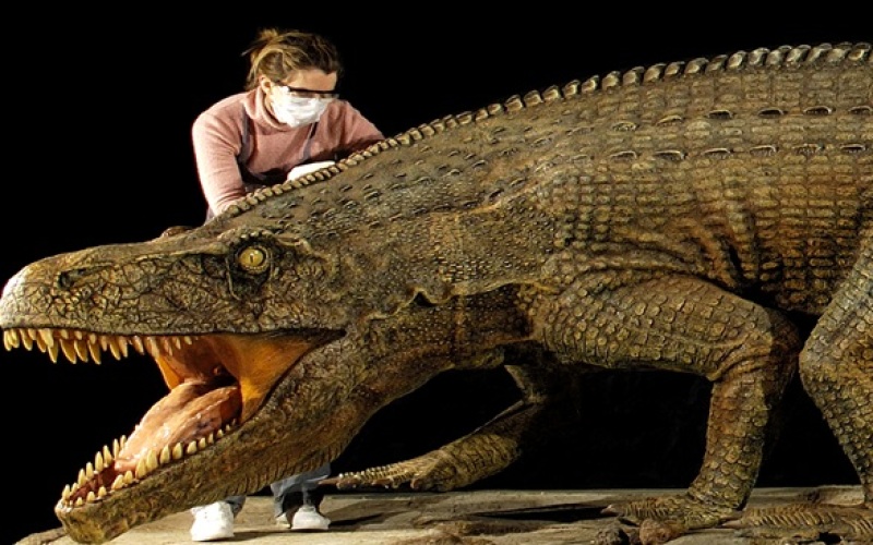 Llega a Chile exitosa exposición de Dinosaurios, para fanáticos “de verdad”  | Mujeres y más