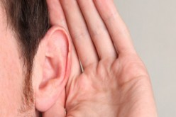 Conoce estos datos curiosos sobre la audición