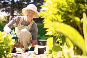 Happy Elder Woman Working In Her Garden