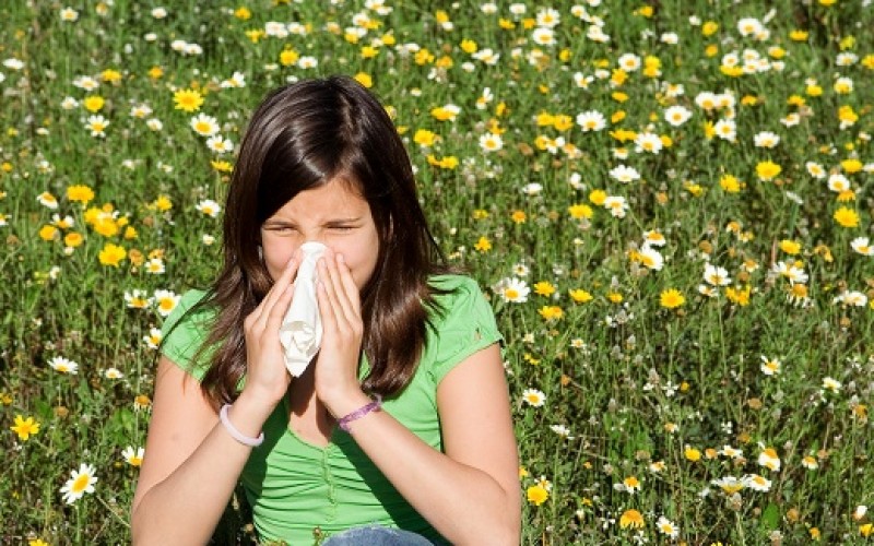 Alergias estacionales: ¿Cómo diferenciar la rinitis alérgica de un resfrío común?