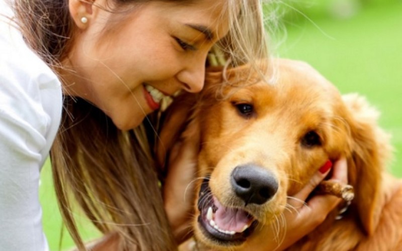Medidas para cuidar a nuestros perros en tiempos de coronavirus