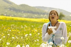 Conoce los remedios naturales para las alergias