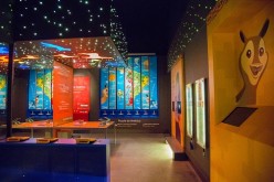 Exposición de milenaria cultura peruana en Museo de Arte Precolombino