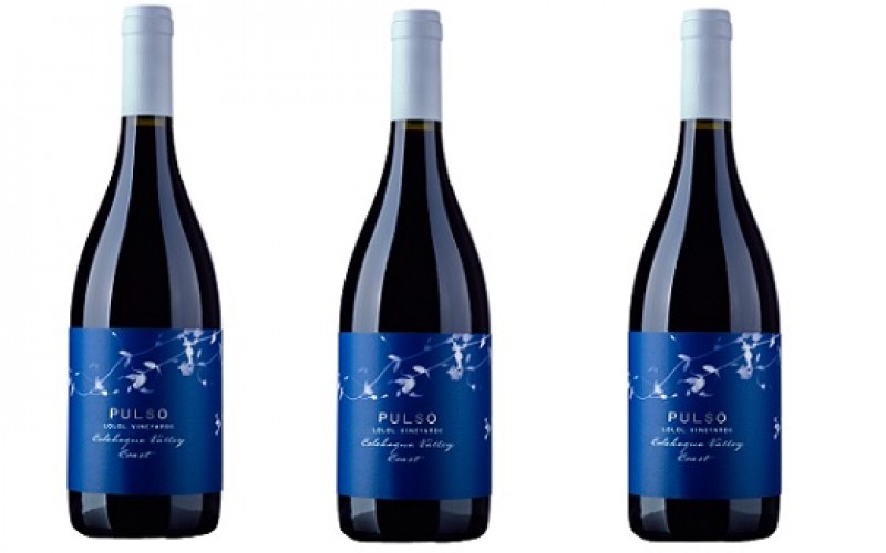 Pulso, el vino de autor de la destacada enóloga chilena Ximena Pacheco