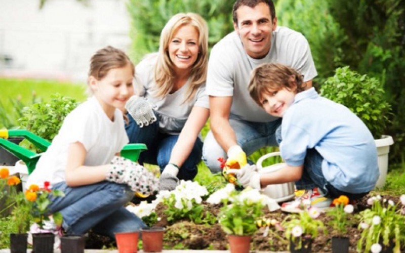 Cinco tips para cuidar tu jardín en otoño