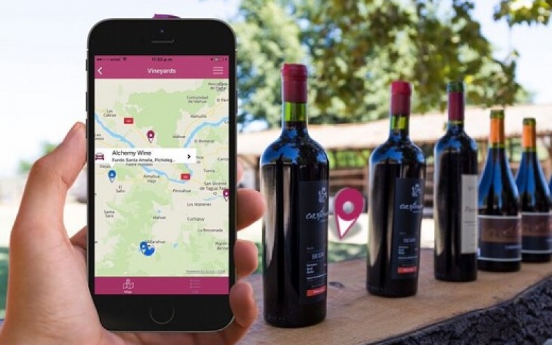 Si eres amante del vino y el enoturismo, esta aplicación es para ti
