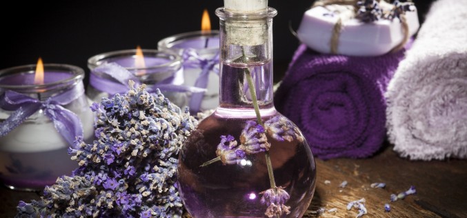 Aprende más sobre los aromas de la naturaleza y sus beneficios con el Wellness Coaching Olfativo