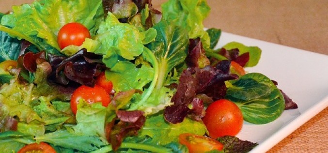 Beneficios de consumir hortalizas orgánicas