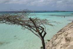Cinco motivos para visitar Aruba