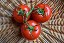 Beneficios de consumir tomate, la vedette de las hortalizas