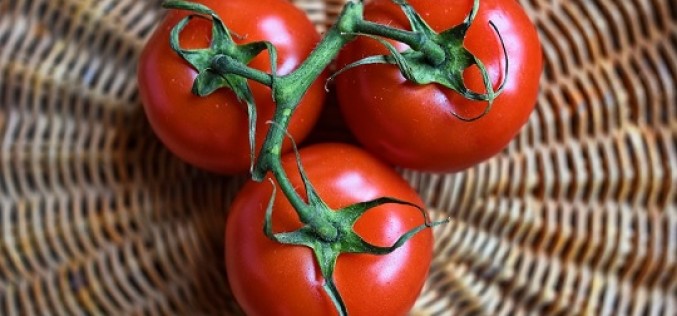 Beneficios de consumir tomate, la vedette de las hortalizas
