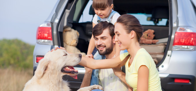 Nuevo: Rent a Car ofrece kit Pet Friendly