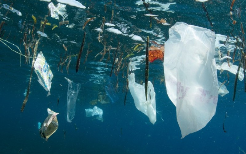 WWF hace llamado global para un acuerdo vinculante que frene la contaminación plástica en el mar