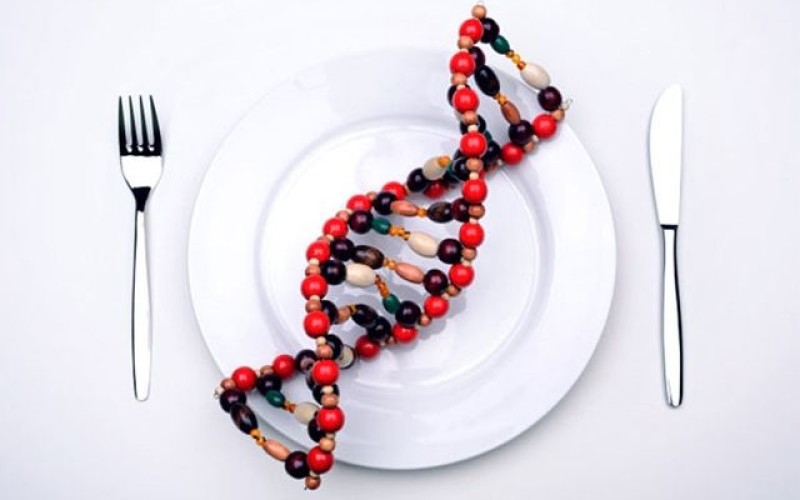 Nutrición Personalizada: Cómo usar la genética para estar en forma