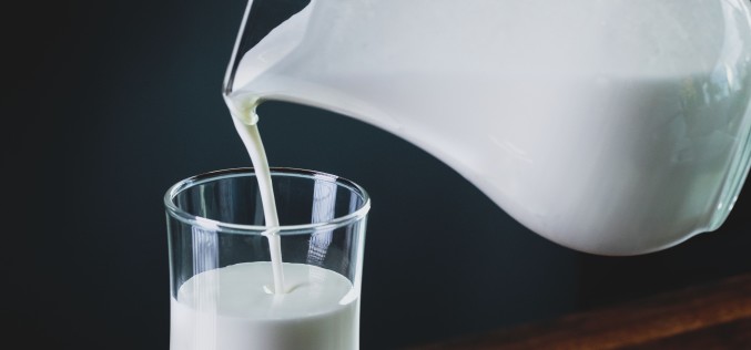 Conoce los mitos sobre la leche sin lactosa