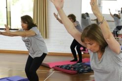 Talleres online gratuitos para  adultos: yoga y encuadernación