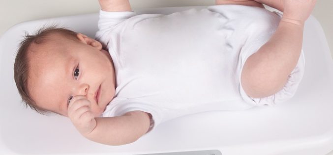 Con nueva balanza digital para bebés, controla su peso sin salir
