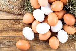 ¿En qué beneficia comer huevos de gallina libre?