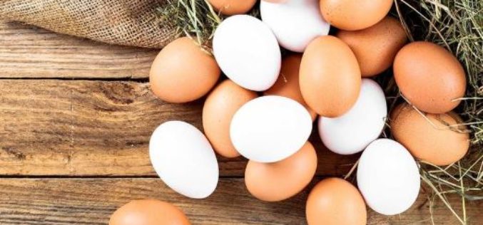 ¿En qué beneficia comer huevos de gallina libre?