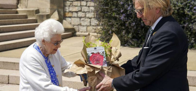 Isabel II recibió una rosa Duque de Edimburgo