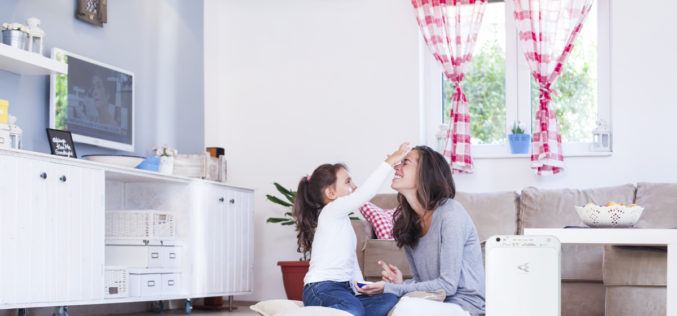 ¿Cómo eliminar el incómodo polvo en el hogar?