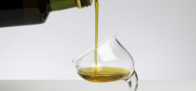 Con variadas  actividades y nueva guía se celebrará día del aceite de oliva