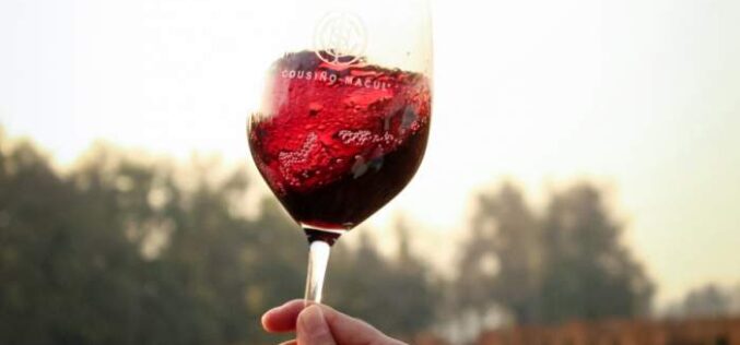 Celebra el Día del Vino 2022 con gran fiesta en Providencia el 20 y 21 de agosto