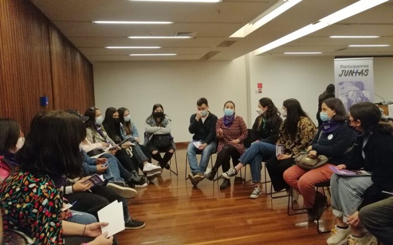 Iniciativa para fomentar la participación de mujeres jóvenes en el plebiscito finalizó con cabildo en Santiago
