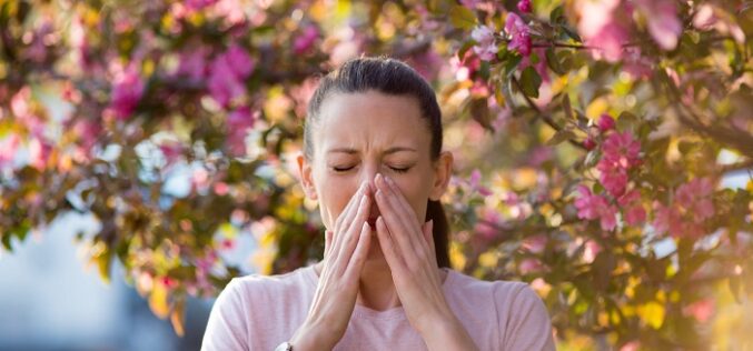 Alergias de primavera: 5 consejos para enfrentarlas