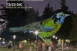 Proviluz: mañana parte espectáculo lumínico en parque de las esculturas