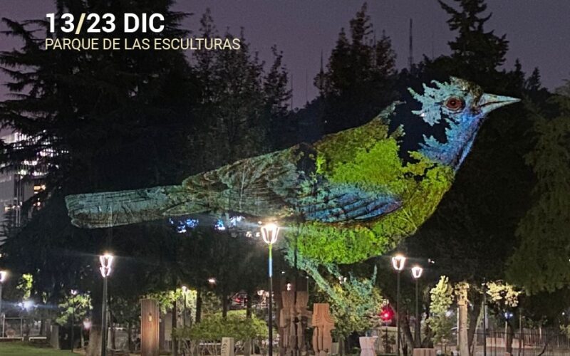 Proviluz: mañana parte espectáculo lumínico en parque de las esculturas