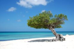 Eagle Beach, en Aruba es reconocida como playa número 1 del Caribe
