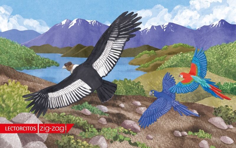 Beto y Bella, vuelve exitoso libro infantil sobre inclusión y migración