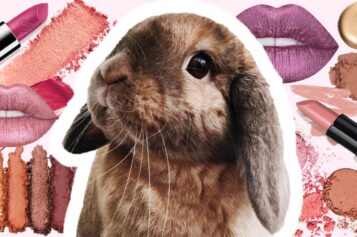¿Qué falta para eliminar la experimentación animal en la industria cosmética?