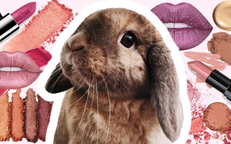 ¿Qué falta para eliminar la experimentación animal en la industria cosmética?