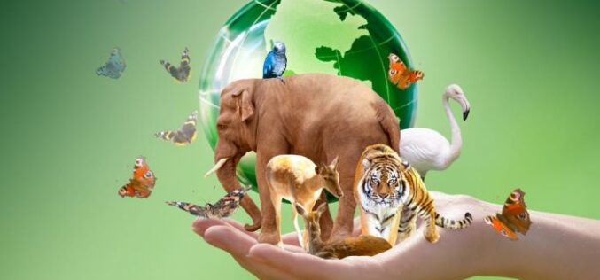 Día Internacional de los Animales: la importancia de la ética animal en la industria cosmética