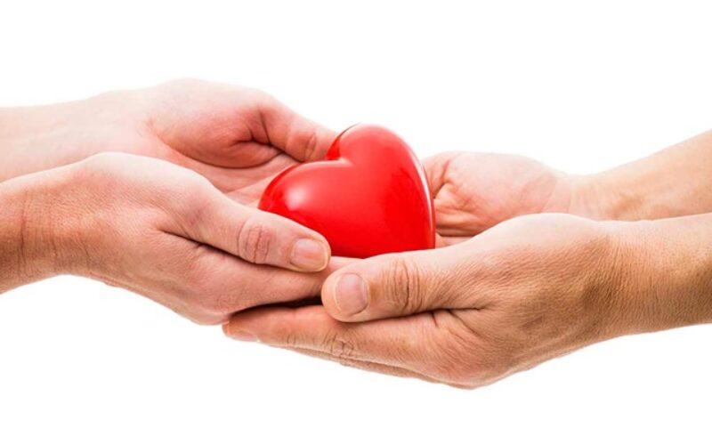 Día Nacional del Trasplante de órganos: ¿Quiénes pueden ser donantes?
