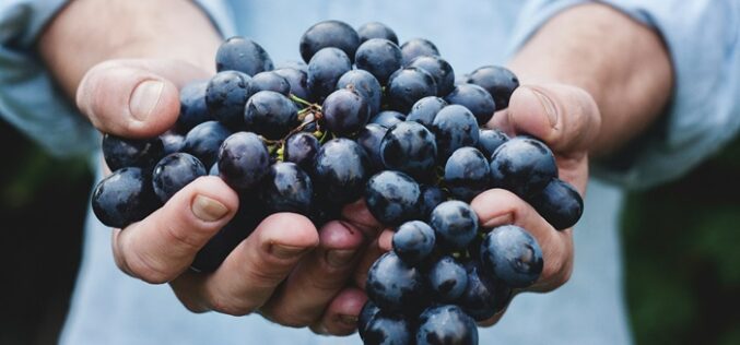 ¡Celebremos el Mes del Vino Chileno!: un homenaje a nuestra gran herencia vinícola