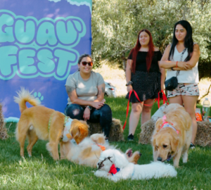 Guau Fest
