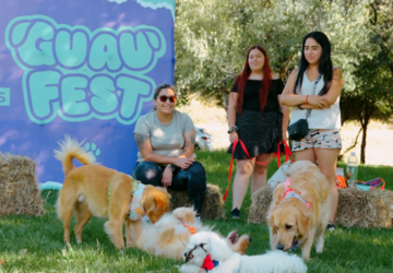 Guau Fest