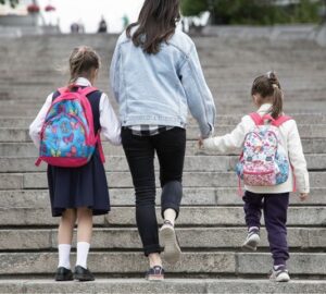 ordenar la alimentación